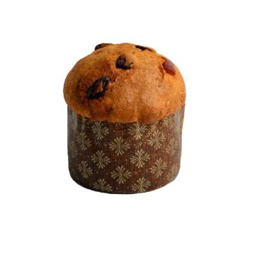 fiasconaro-panettone-tradizionale-100g_1_1