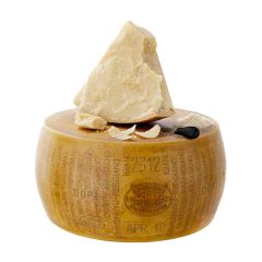 nuovo_progetto_-_2023-09-22t100619